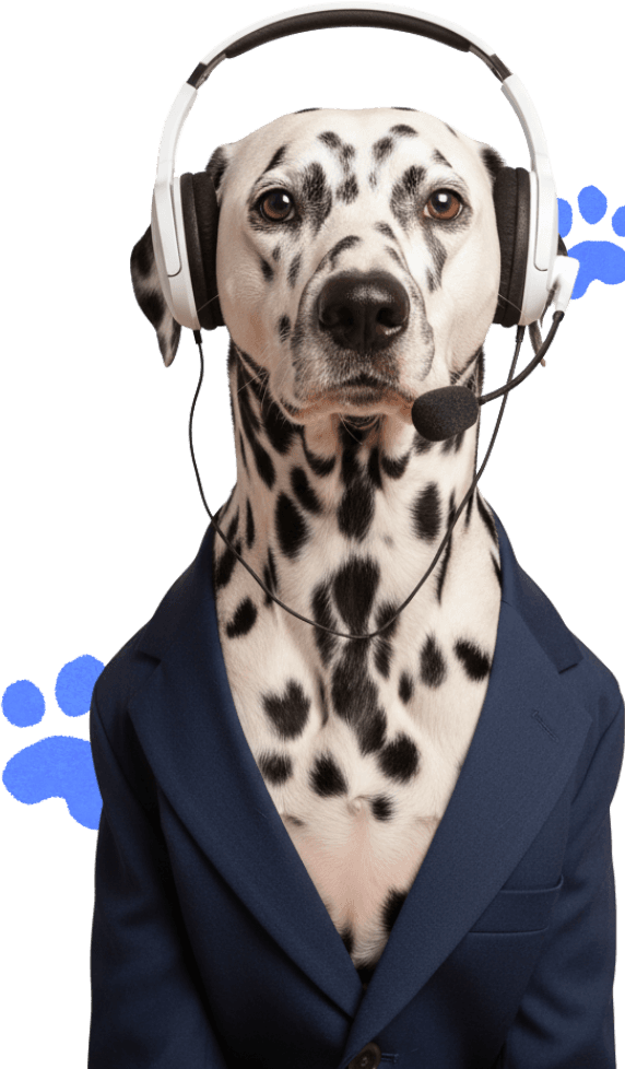 Support dog with headset