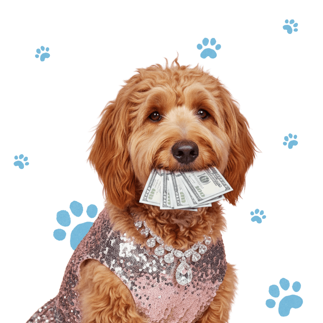 Dog holding money