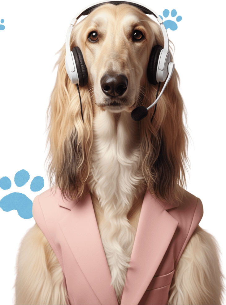 Support dog with headset